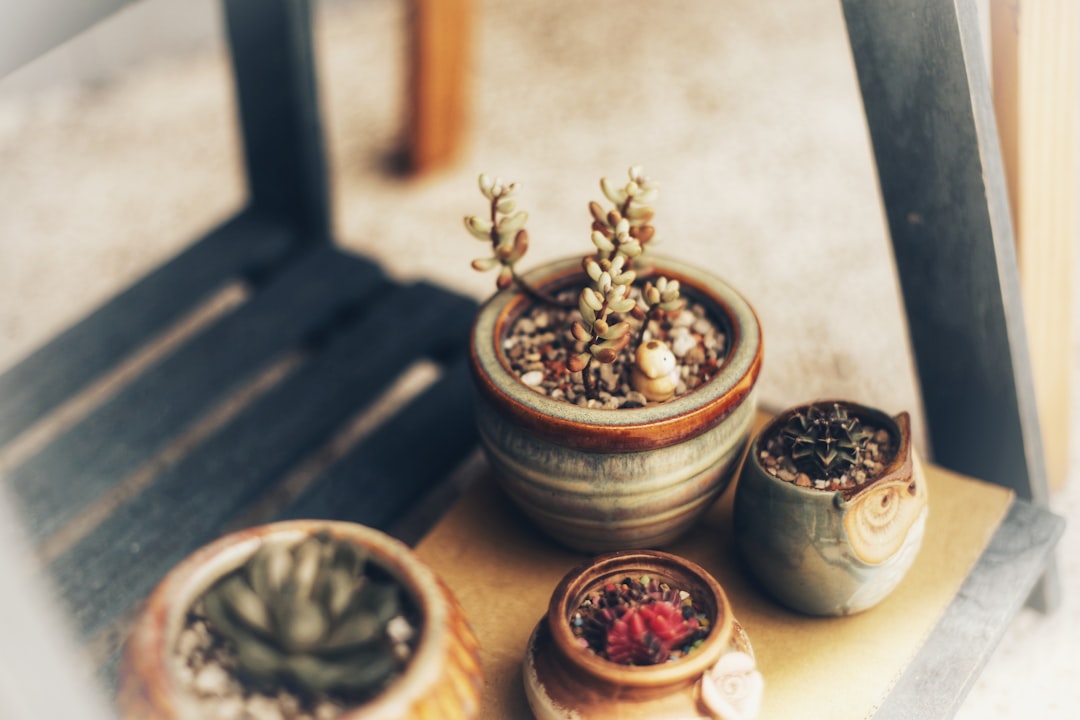 Creating Your Own Herbal Anxiety Relief Kit