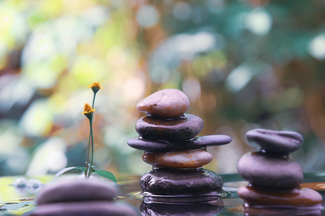 Integrating Natural Remedies into Your Anxiety Management Plan