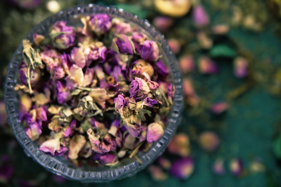 Understanding Herbal Remedies for Anxiety