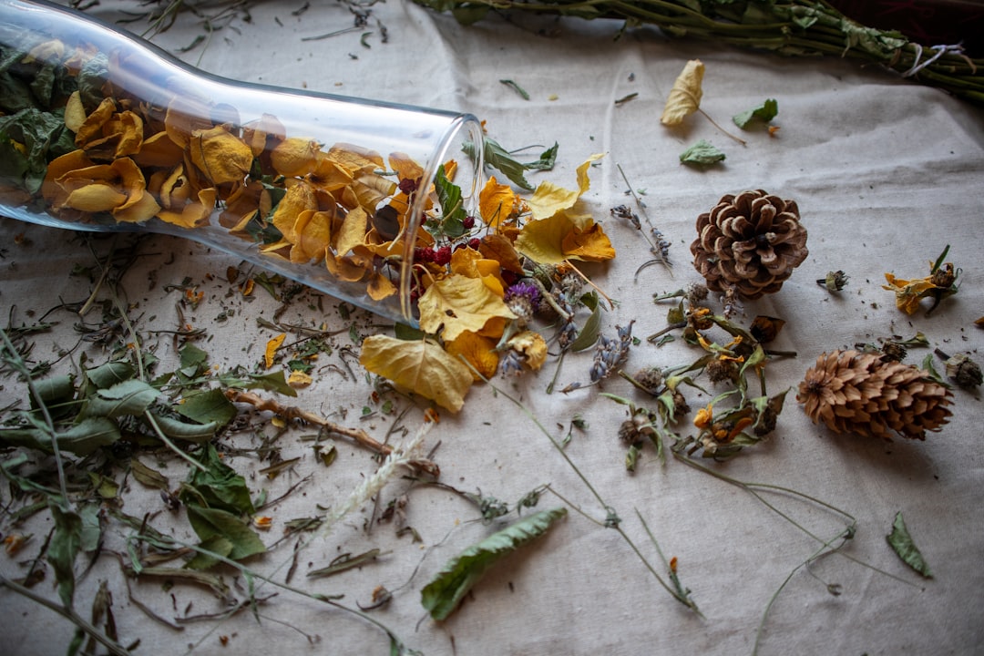 Advanced Herbal Blending Techniques for Anxiety Relief