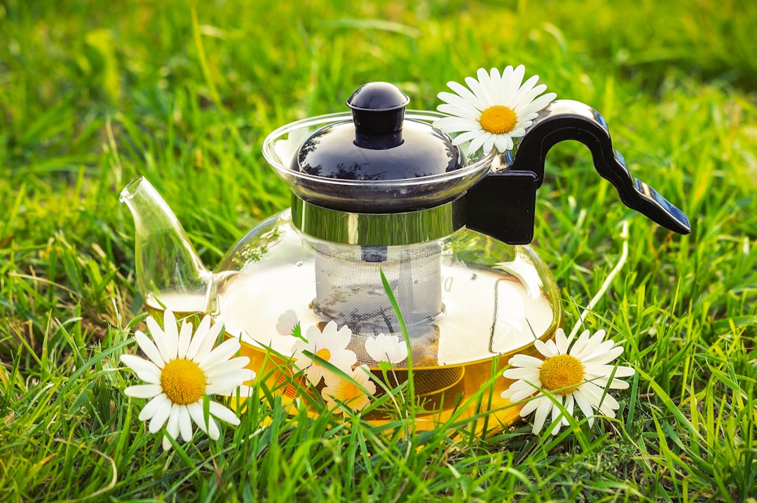 Chamomile Tea vs Lavender Tea for Anxiety Relief — Which is Better?