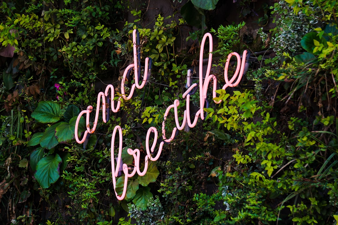 Breathing and Botanicals — A Daily Ritual for Anxiety